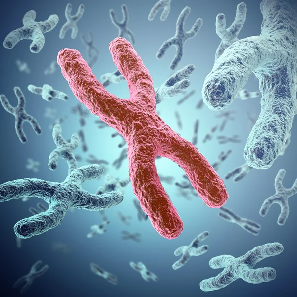 X-kromosom, röda i mitten, begreppet infektion, mutation, sjukdom, med fokus effekt. 3D illustration — Stockfoto