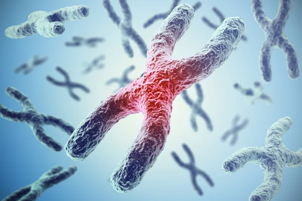 Chromosomen auf blauem Hintergrund, wissenschaftliches Konzept 3D-Illustration — Stockfoto