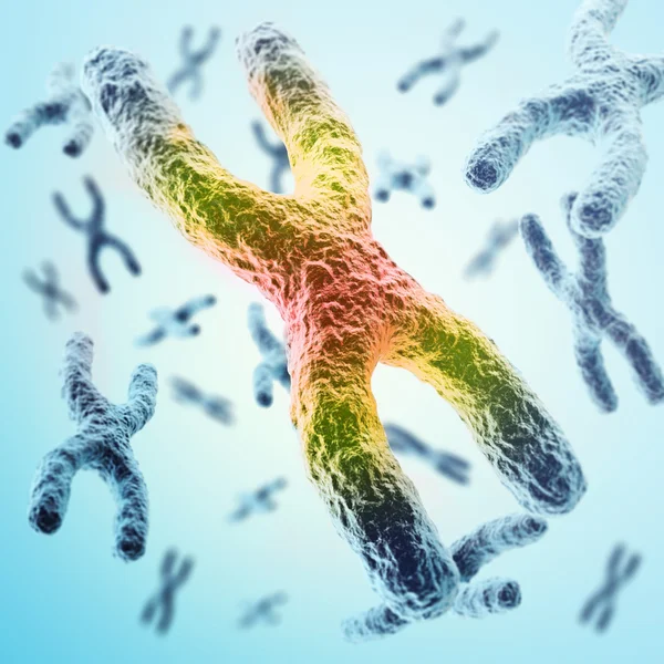 X-Chromosomes som ett koncept för mänskliga biologin medicinsk symbol gen terapi eller mikrobiologi genetik forskning. 3D illustration — Stockfoto