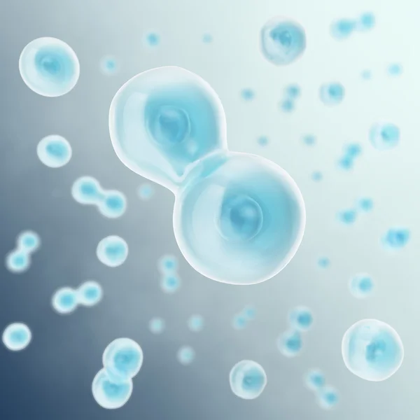 Cellen delar sig i två celler, vetenskapliga backgorund. 3D illustration. — Stockfoto
