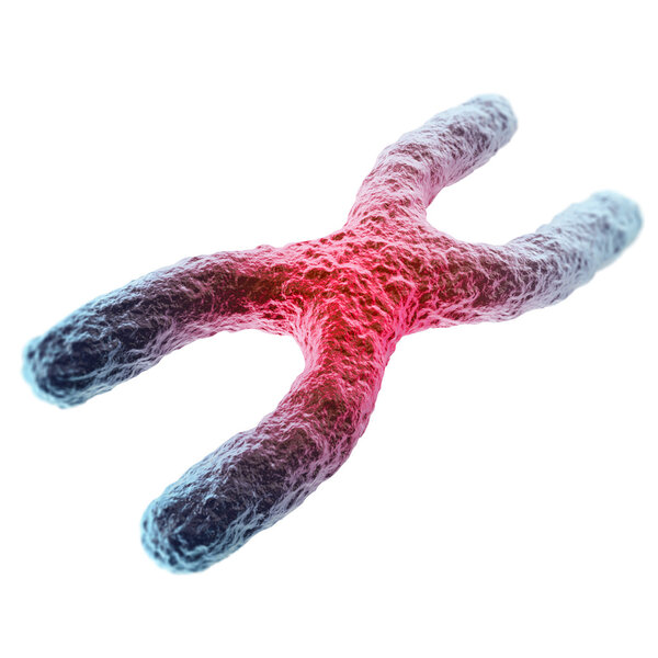 X chromosome, red in the center, the concept of infection, mutation, disease, with focus effect. 3d illustration