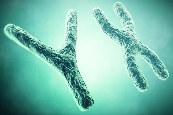 YX Chromosome σε πρώτο πλάνο, μια επιστημονική ιδέα. 3D εικονογράφηση — Φωτογραφία Αρχείου