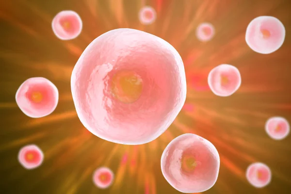Mänsklig cell, djur, vetenskap bakgrund. 3D-illustration. — Stockfoto