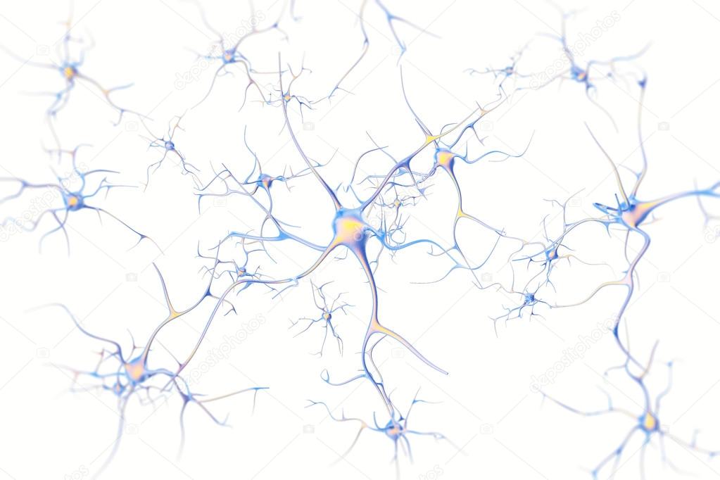 Neurons in the brain on white background with focus effect. 3d rendering