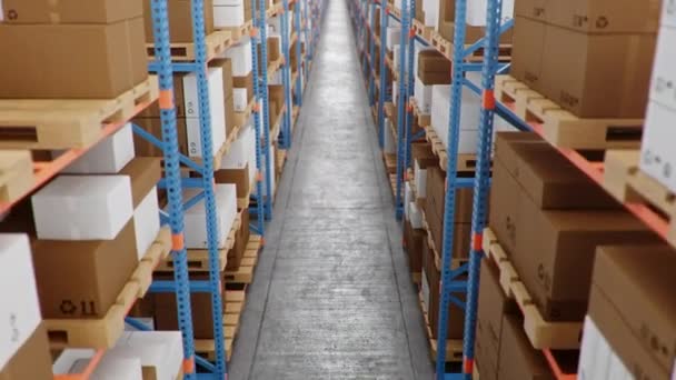 Warehouse with cardboard boxes inside on pallets racks, logistic center. Huge, large modern warehouse. Warehouse filled with cardboard boxes on shelves. Loopable seamless 4K 3D animation — Stock Video