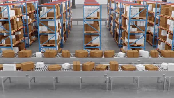 Warehouse with cardboard boxes inside on pallets racks, logistic center. Huge, large modern warehouse. Cardboard boxes on a conveyor belt in a warehouse, loopable seamless 4K 3D animation — Stock Video