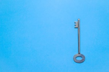 Bayanların parmakları olarak da bilinen taze kesilmiş sebze bamyasının geçmişi. Bu bitkisel bilimsel isim Abelmoschus esculentus. Bamya, yararlı besin ve antioksidan yönünden zengin yenilebilir tohumlarıyla bilinen bir bitkidir..