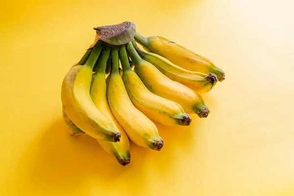 Sarı arka planda Musa Paradisica olarak da bilinen sağlıklı muz sürüsü.