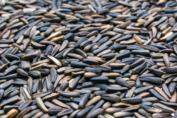 Arkaplan için Nijer tohumları