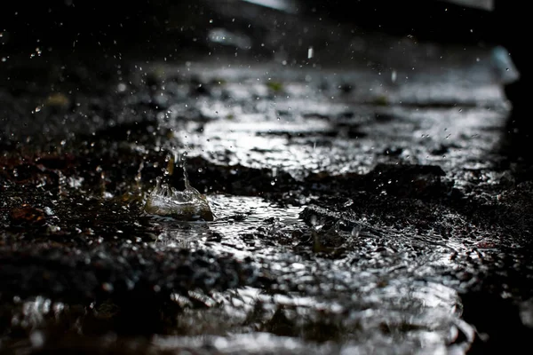 Muson yağmurları ve yağmur damlaları gece boyunca suya düşer. Kullanılan seçici odak.