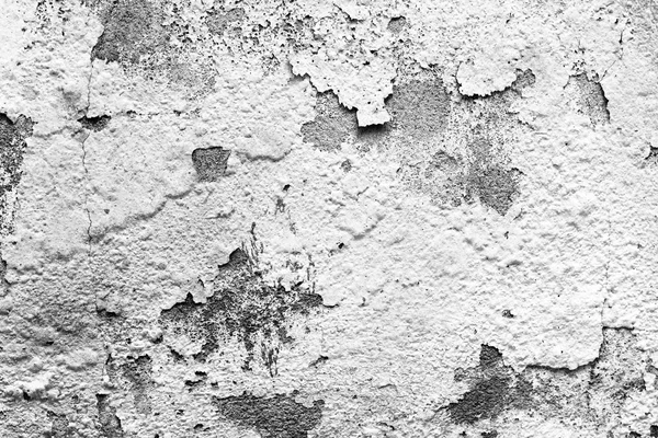 Texture background of the old wall, black and white. The peeling — Stock Photo, Image