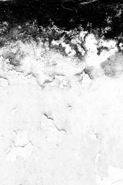 Textura fundo da antiga parede do fungo, preto e branco. O — Fotografia de Stock