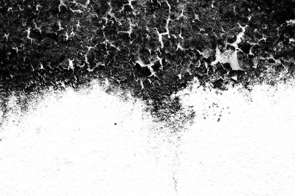De achtergrond van de textuur van de oude schimmel muur, zwart-wit. De — Stockfoto