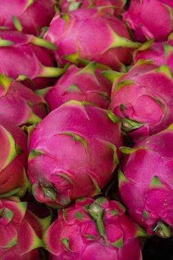 Dragon meyve, desen bir sürü.