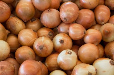 Soğan, desen bir sürü.