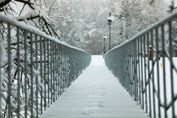 Most Zábradlím Zasněženém Zimním Parku Podél Silnice Jsou Lucerny Obrovskými — Stock fotografie