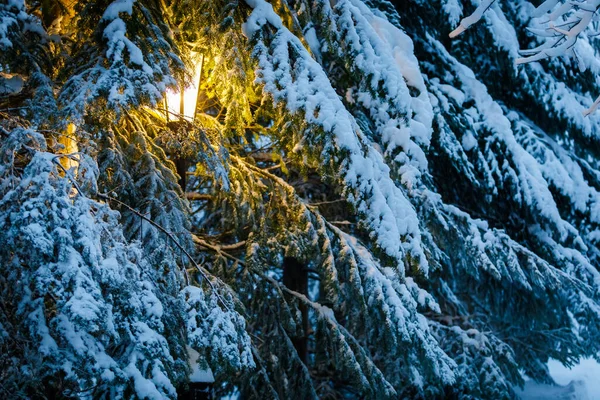 Inverno Una Lanterna Gialla Brilla Nel Parco Tra Grandi Alberi — Foto Stock