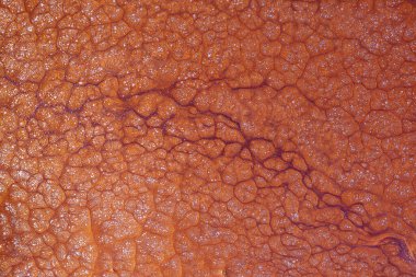 Soyut arkaplan dokusu, kahverengi, sıvı akrilik ve altın parıltısı..