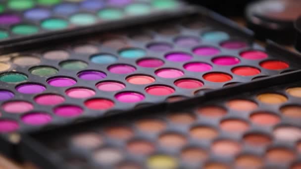 Palette Professional Multi Colored Eyeshadows Face Makeup Close Selective Focus — Stock Video