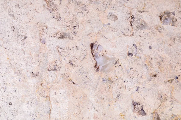 Texture pierre naturelle dolomite. Pierre avec motif beige sur une surface lisse. — Photo