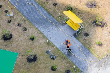 Bir işçi sıcak güneşin hortumuyla bahçedeki çalıları suluyor..