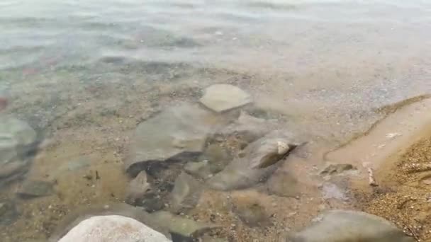 Apa transparentă spală pietrele din lac — Videoclip de stoc