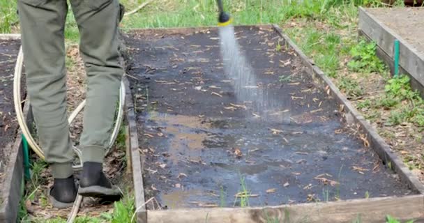 Um homem usa uma mangueira para regar o solo com as sementes plantadas — Vídeo de Stock