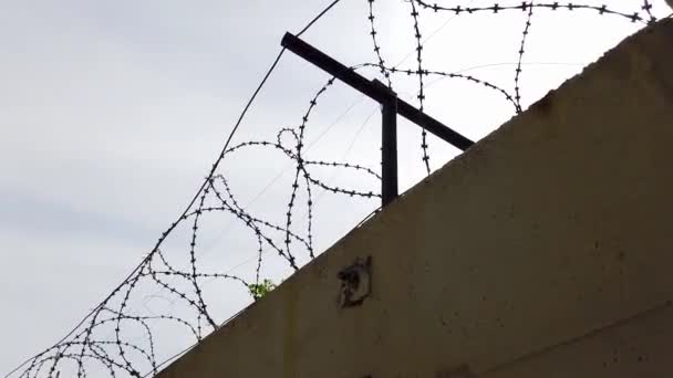 Stål taggtråd på staketet i fängelset. Närbild — Stockvideo