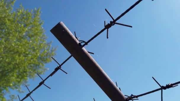 Ocelový ostnatý drát na plotě ve vězení. Detailní záběr — Stock video