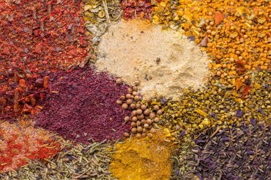 Geniş bir et çeşnisi seçimi. Bitkisel baharatlar hazır. Baharat arkaplanı