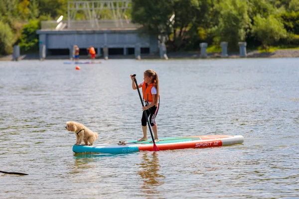 サーフボードで犬と一緒に泳ぐ子供は、パドルでプッシュします。パドルボーディング. — ストック写真