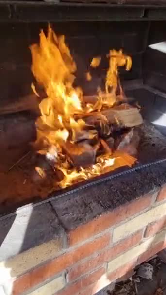 Forno Tradicional Com Uma Fogueira Interior Para Cozinhar Interior Carne — Vídeo de Stock