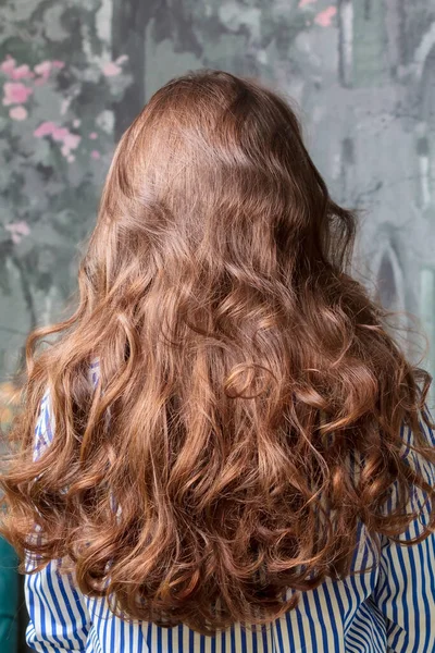 Visão Traseira Longo Cabelo Encaracolado Menina Cabelo Castanho Penteado Close — Fotografia de Stock