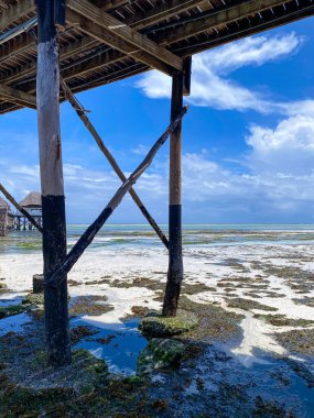 Melia Otel iskelesinin altında sığ sular Kiwengwa, Zanzibar