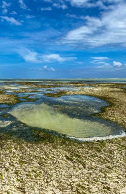 Melia Zanzibar plajı alçak gelgitte. Panorama. Mavi gökyüzü