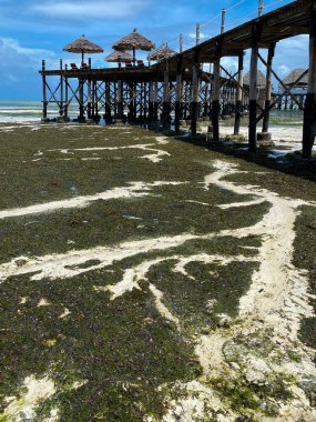 Melia Otel iskelesi, Kiwengwa, Zanzibar yakınlarındaki sığ su manzarası.
