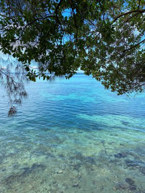 Zanzibar Hapishane Adası 'ndan okyanus manzarası