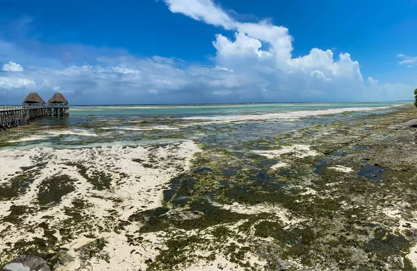 Melia Zanzibar plajı alçak gelgitte. Panorama. Mavi gökyüzü. İskeleden görüntüle