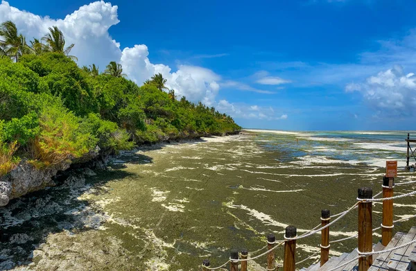 Melia Zanzibar beach on low tide. Panorama. Blue sky. View from pier — Stock Photo, Image