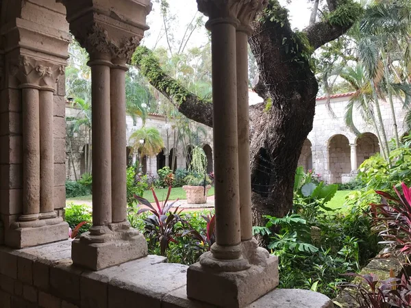Kuzey Miami 'deki Antik İspanyol manastırında büyük bir ağacı olan manastır.