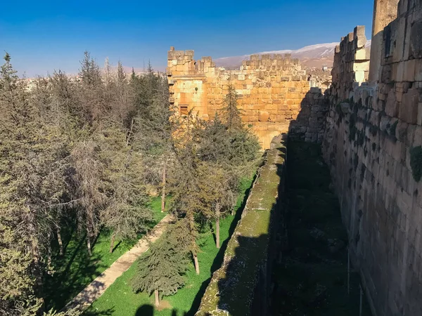 Baalbek, Lübnan 'ın güçlendirilmiş surları. Kızıl duvarlar ve orman