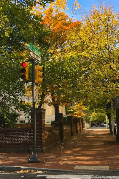 Sonbaharda Philadelphia City Center 'da Chestnut Caddesi' nde trafik ışığı