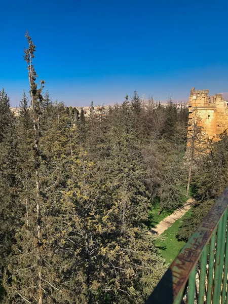 Lübnan 'ın Baalbek surlarından orman manzarası