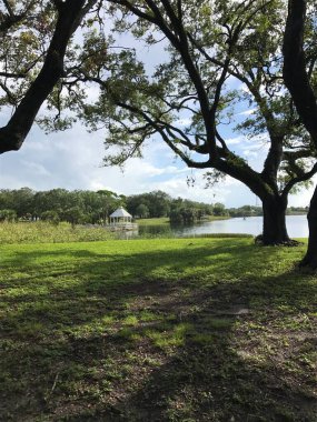 Topeekegee Yugnee Parkı, Florida 'da göl kenarında canlı meşe ağaçları var.