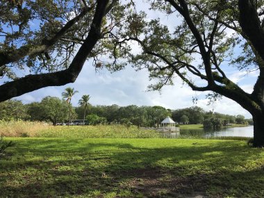 Topeekegee Yugnee Parkı, Florida 'da göl kenarında canlı meşe ağaçları var.