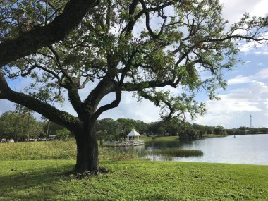 Topeekegee Yugnee Parkı, Florida 'da göl kenarında canlı meşe ağaçları var.