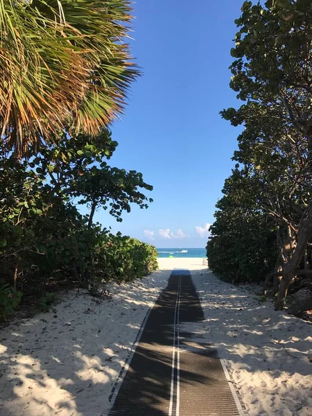 MIAMI Beach, FL, ABD - 21 Aralık 2017: Haulover Park 'taki okyanusa giden yol