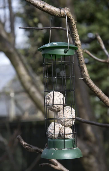 Alimentador de aves colgado en un árbol — Foto de Stock