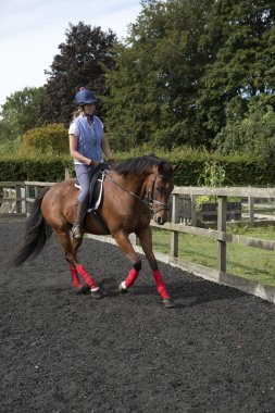 Onun atı egzersiz kadın binici