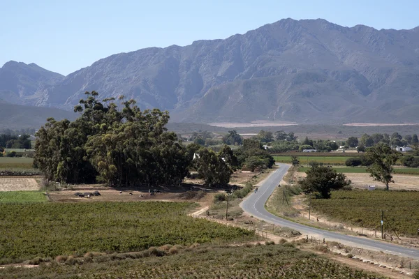 Comprar Valle cerca de Worcester en Western Cape Sudáfrica — Foto de Stock